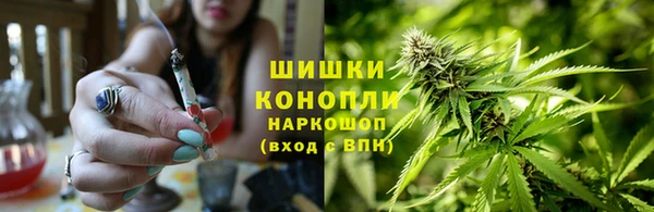 стаф Абдулино